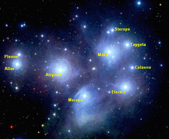 pleiades cluster